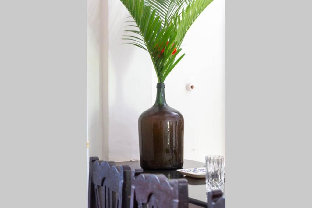 Villa Barbosa, 2 Bhk Villa & Luxury Rooms Near Colva, Sernabatim, Benaulim Beach Εξωτερικό φωτογραφία