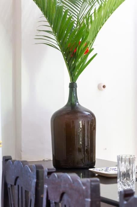 Villa Barbosa, 2 Bhk Villa & Luxury Rooms Near Colva, Sernabatim, Benaulim Beach Εξωτερικό φωτογραφία